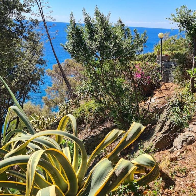 Villa Cokkinis fronte mare con ampio giardino - Villa con 3 Camere da Letto - 37