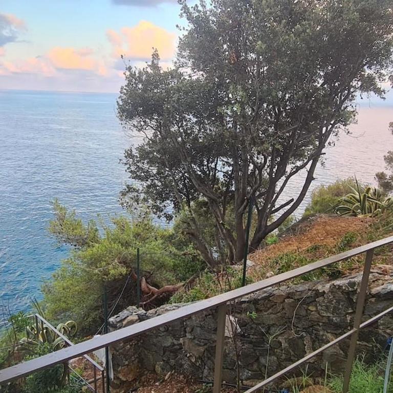 Villa Cokkinis fronte mare con ampio giardino - Villa con 3 Camere da Letto - 41