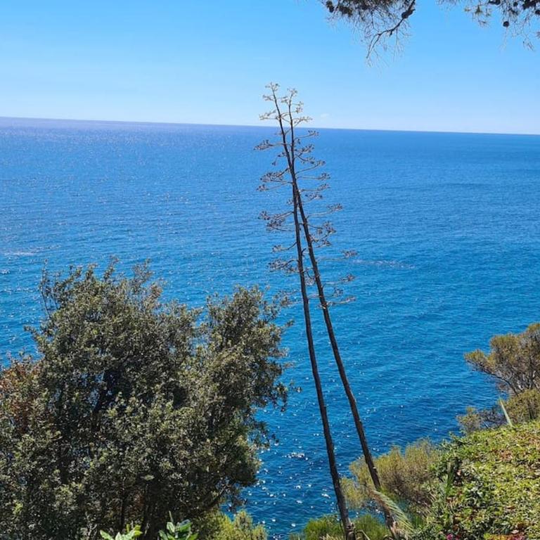 Villa Cokkinis fronte mare con ampio giardino - Villa con 3 Camere da Letto - 39