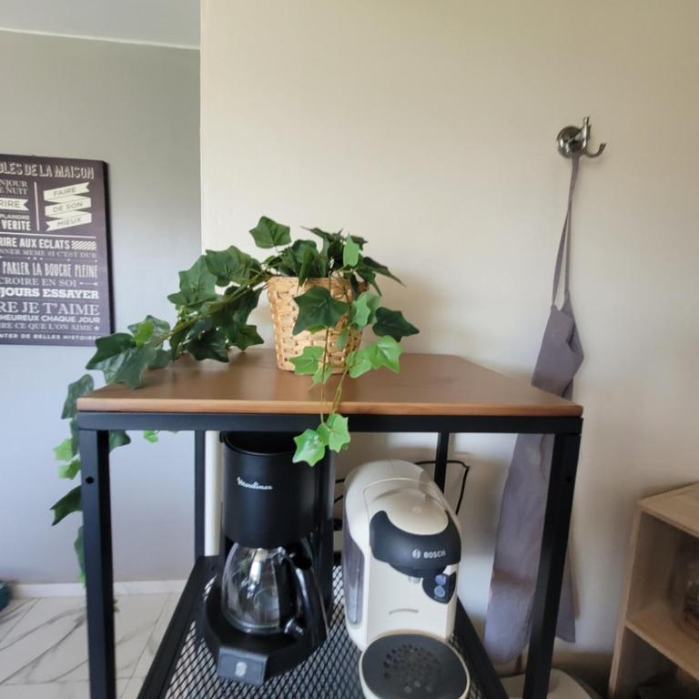 Jolie t4 a l'esplanade lez wifi - Apartment mit 3 Schlafzimmern - 31