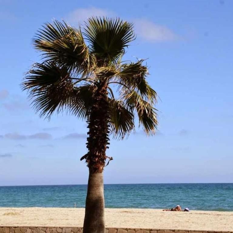 Plage, Cambrils. Locamar Apt Polux - Apartamento - 21