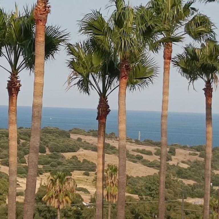 Estepona Golf Apartment - Apartamento de 2 dormitorios - 26