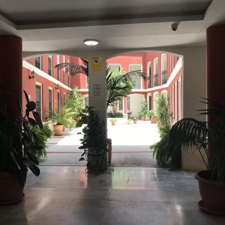 Conde de Ibarra - Piscina 15 mayo a 15 octubre - Apartamento de 1 dormitorio - 3