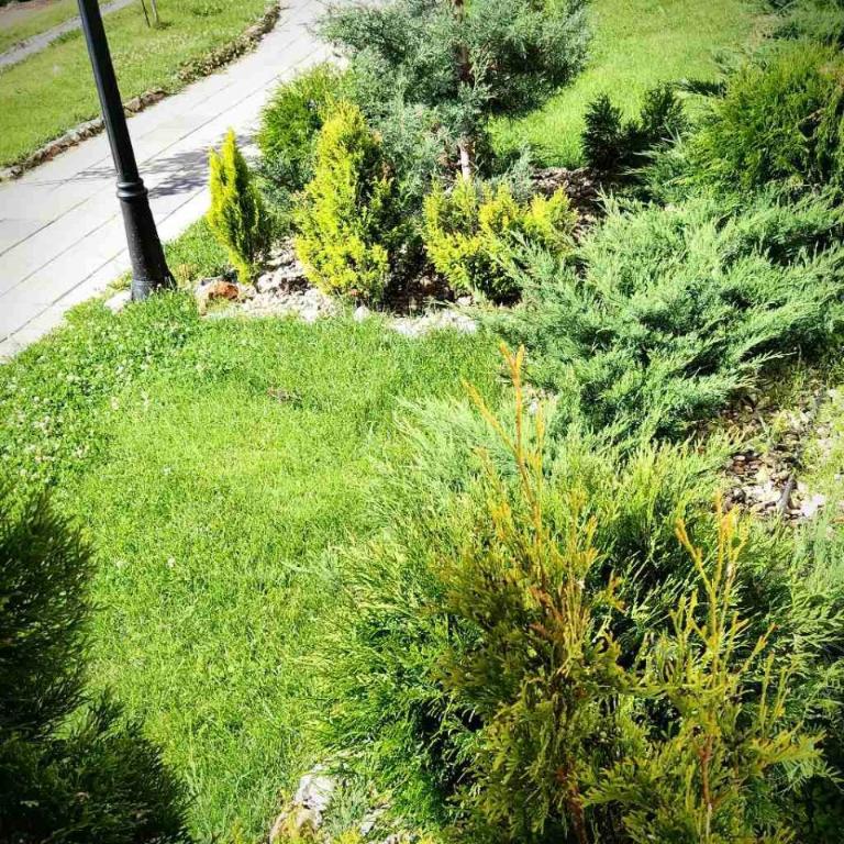 Studio apartman p13 - One-Bedroom Apartment - 44