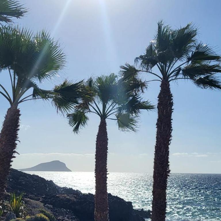 Albatros Tenerife Golf Sea View - Apartamento con vistas al mar - 39