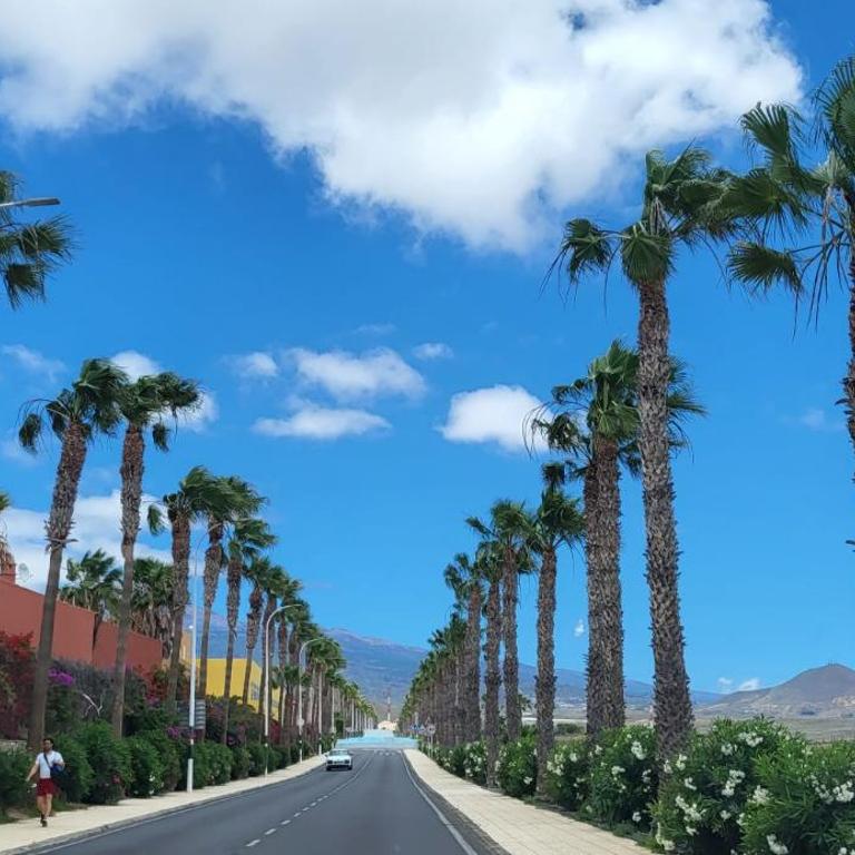 Albatros Tenerife Golf Sea View - Apartamento con vistas al mar - 42