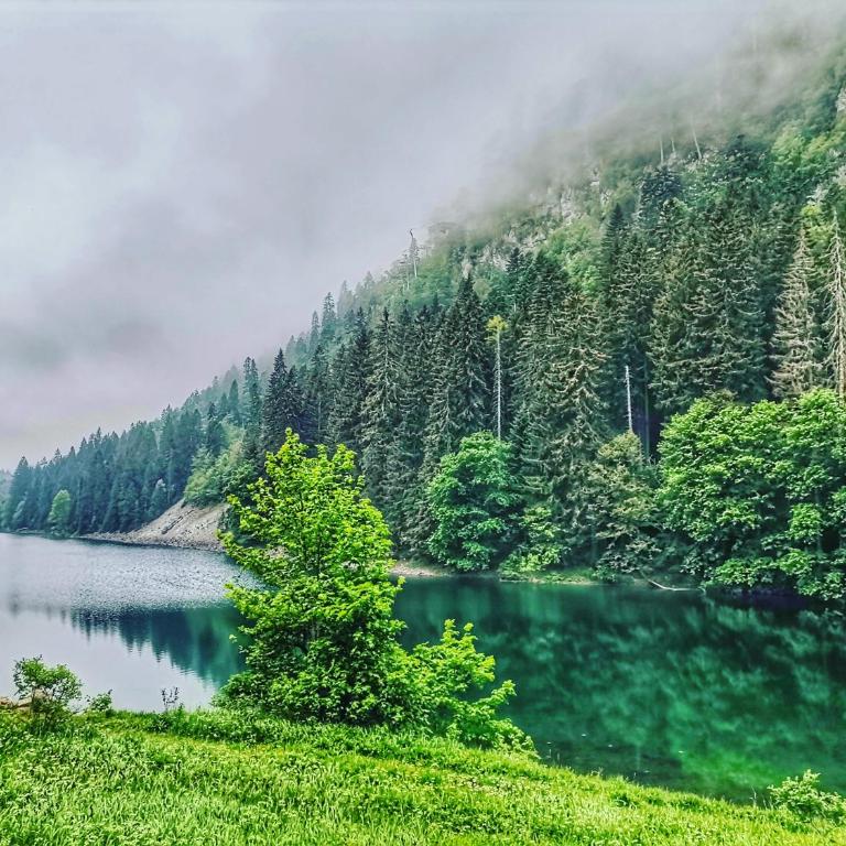 Dream view house - Two-Bedroom House - 35