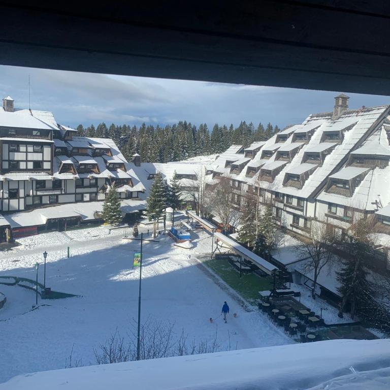 NevSki Apartments - Standard Triple Studio - 4