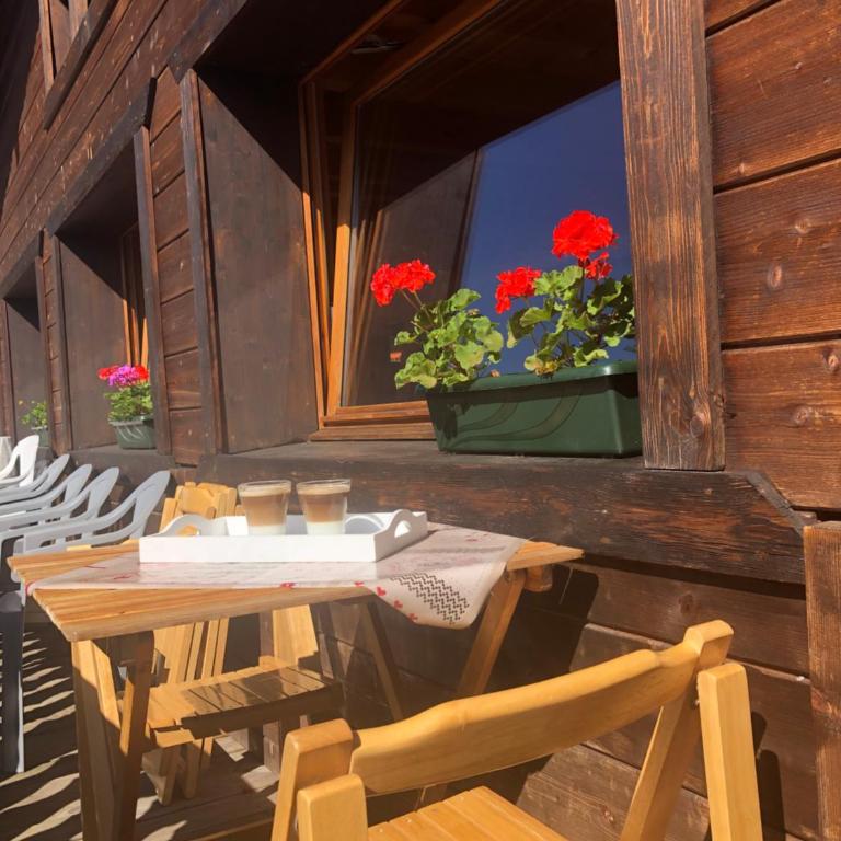 Central Hostel Chatel - Chambre Quadruple avec Salle de Bains Privative - 13