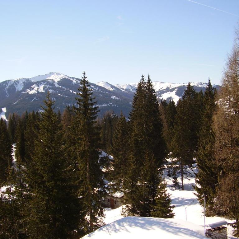 Appartementhaus Hochkönig 1 - Alpenrose - Apartment mit Balkon - 28