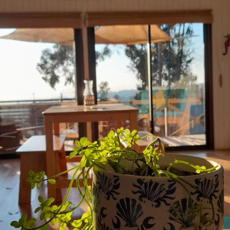 7 Olas lodge - Casa con 1 dormitorio - 14