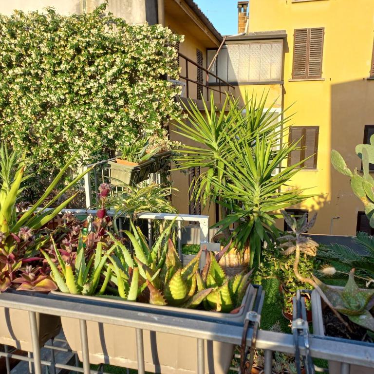 The Jasmine Terrace Retreat - Appartamento con Terrazza - 51