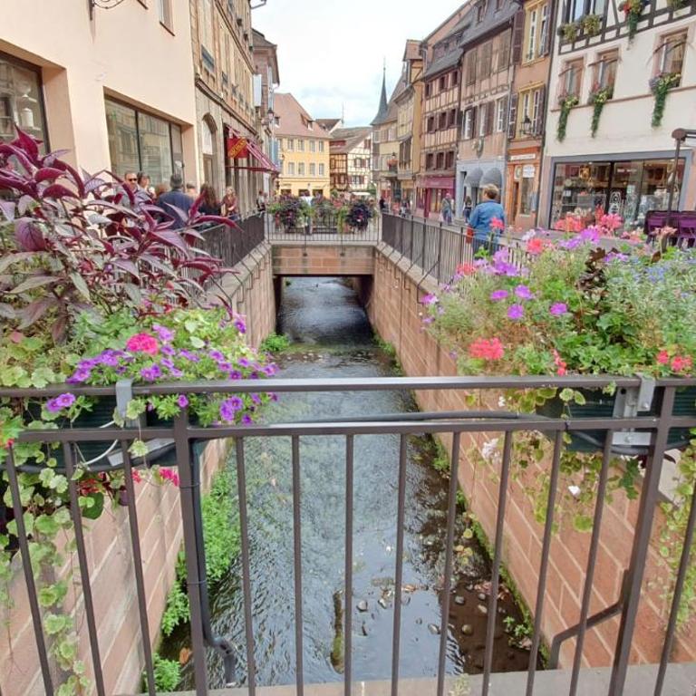 Evasion St Joseph Odysalis - Lit King Size - Parking - Proche Centre - Apartment mit 2 Schlafzimmern - 49