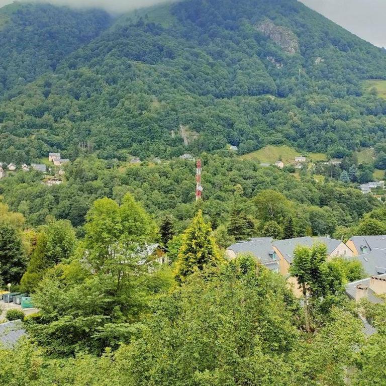Appartement T1bis pour 6 avec terrasse et parking à Cauterets - FR-1-234-238 - Appartement (6 Adultes) - 10