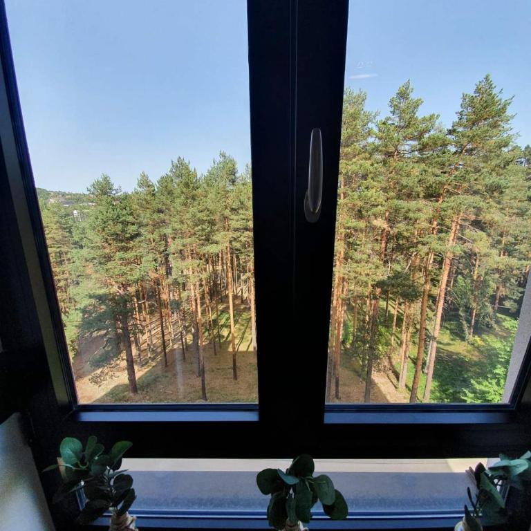 Dunja's home - Apartman sa 1 Spavaćom Sobom - 16