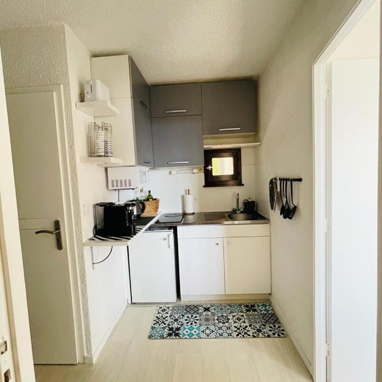 F2 près débarcadère, en centre ville, des thermes EVIAN LES BAINS 2 étoiles - Apartment mit 1 Schlafzimmer - 10