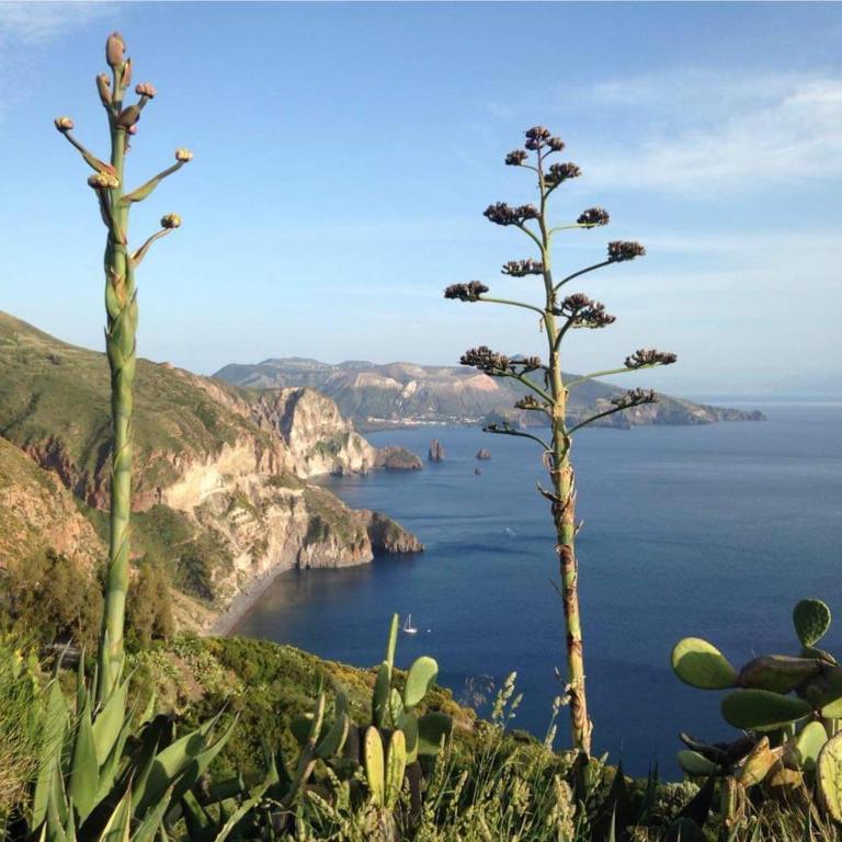 Lipari Centro Storico Flat 8 min from port - Appartamento con 1 Camera da Letto - 18