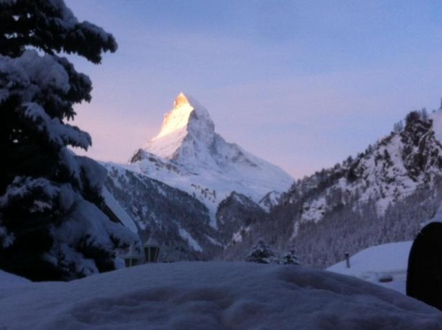 Modernes Studio Zermatt - Studio-Apartment - 11