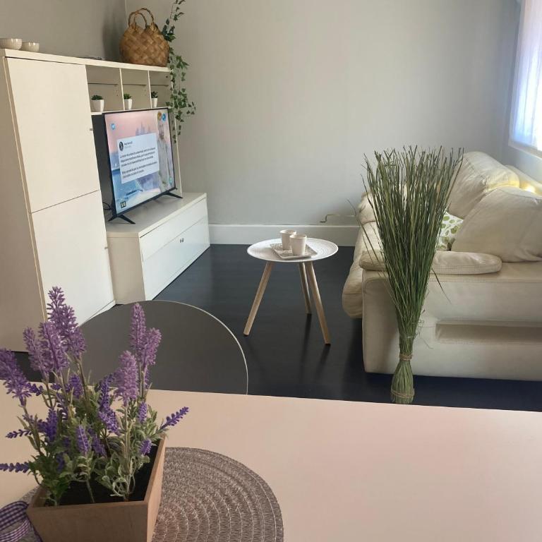 Apartamentos Logroño centro, TIC TAC, wifi - Apartamento con terraza - 18