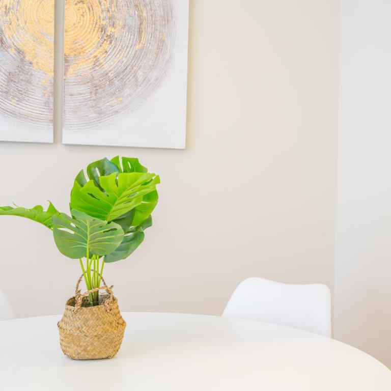 Puccini Apt - Centro città - Wifi - AC - One-Bedroom Apartment - 14