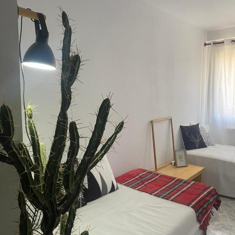 Apartamento Rincón del Cielo - Appartamento - 24