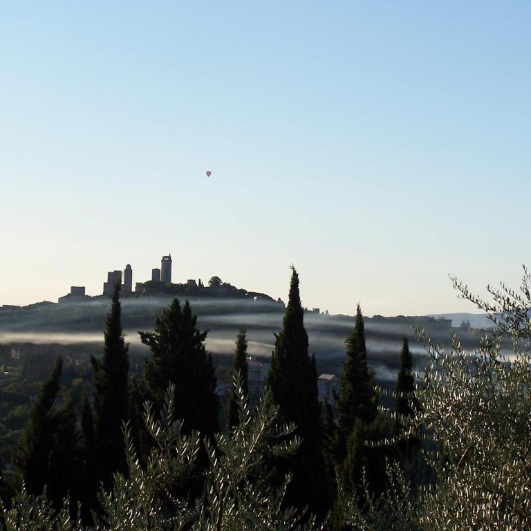 Poggetto di Montese - One-Bedroom Apartment with Garden View - 3