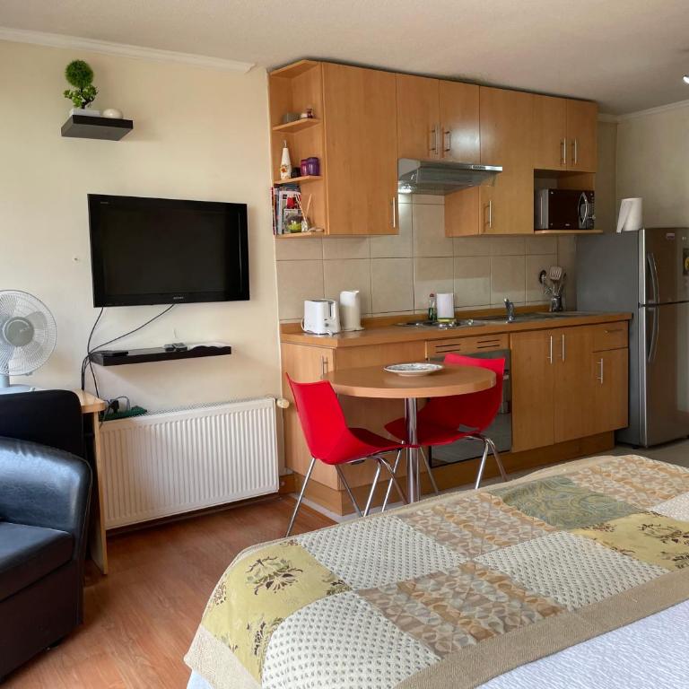 Barrio Lastarria, Excelentes Apartamentos - Sofia Camilla Propiedades - Apartamento Estudio - 8