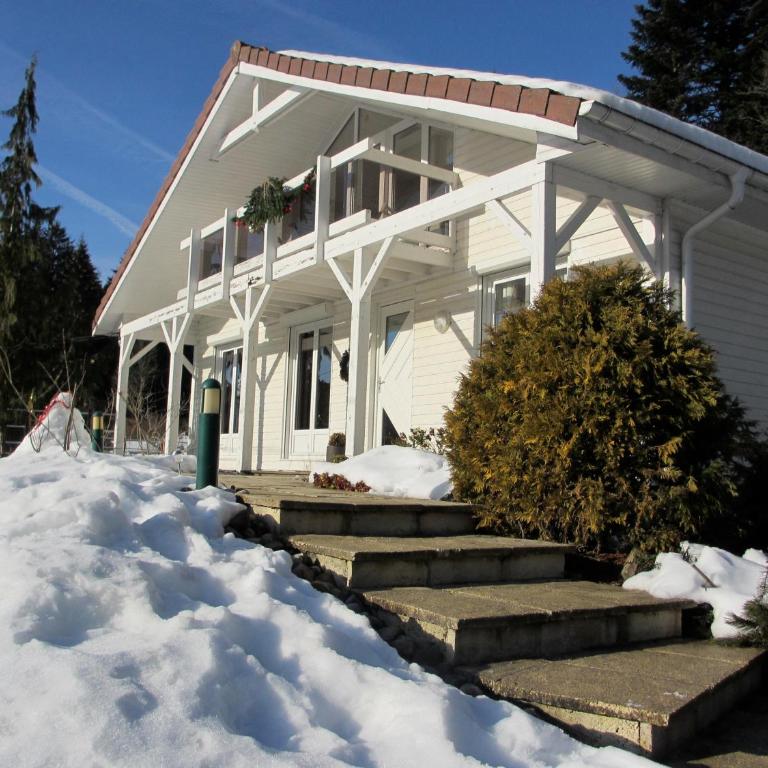 LE CHALET BLANC - JACUZZI / PISCINE / SAUNA - Chalet - 22