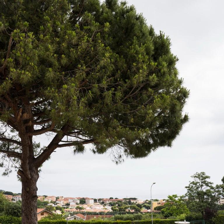 Balconi Del Conero - Monolocale con Vista Mare - 12