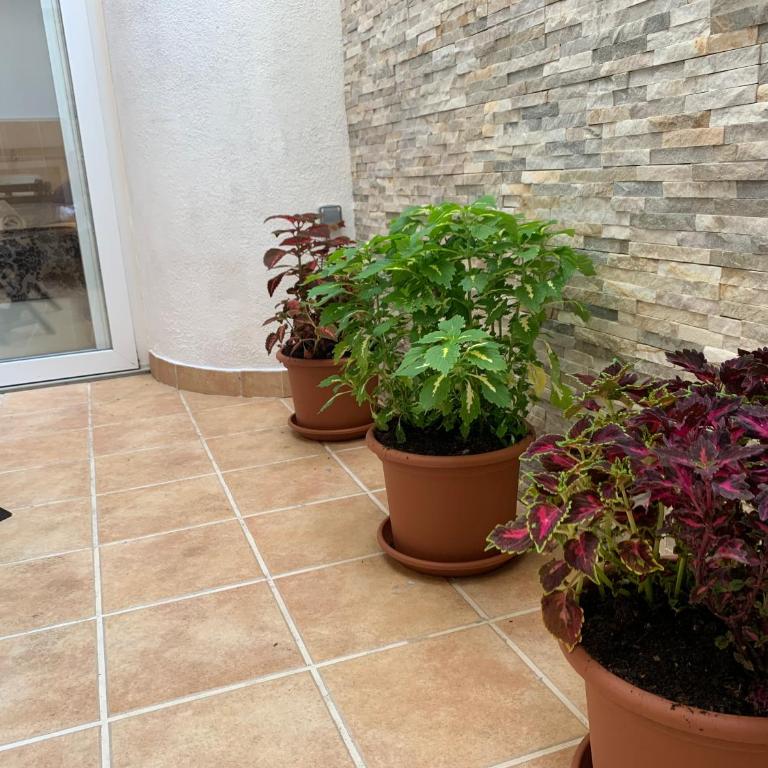 Patio Port Serrallo - Apartamento de 2 dormitorios - 45