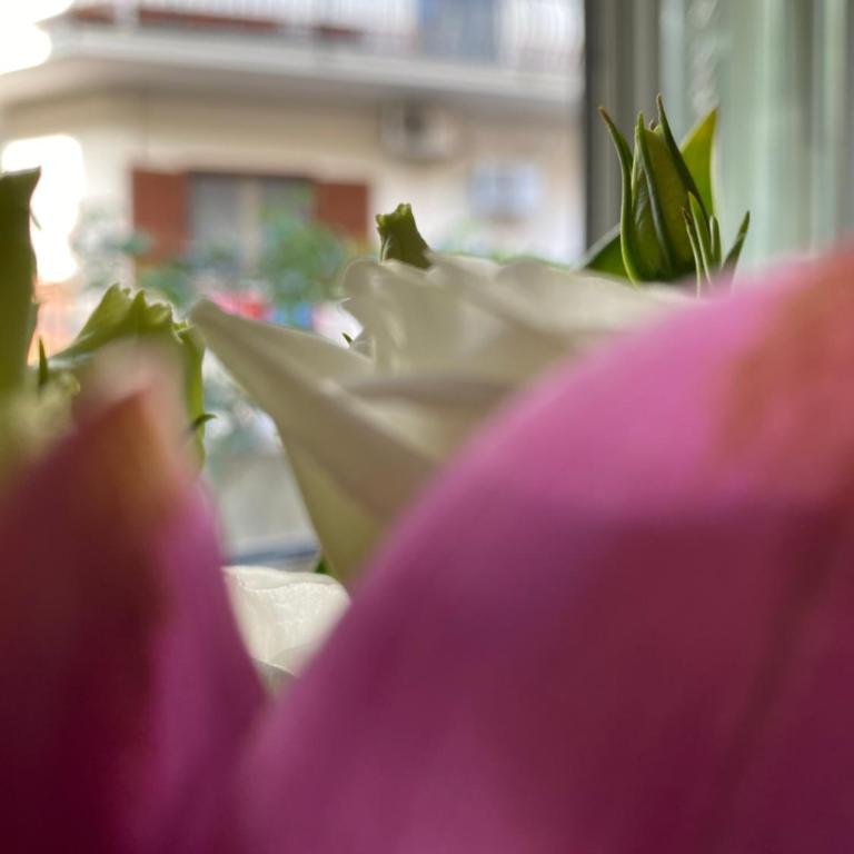 A Casa di Agata - Casa con 1 Camera da Letto - 34