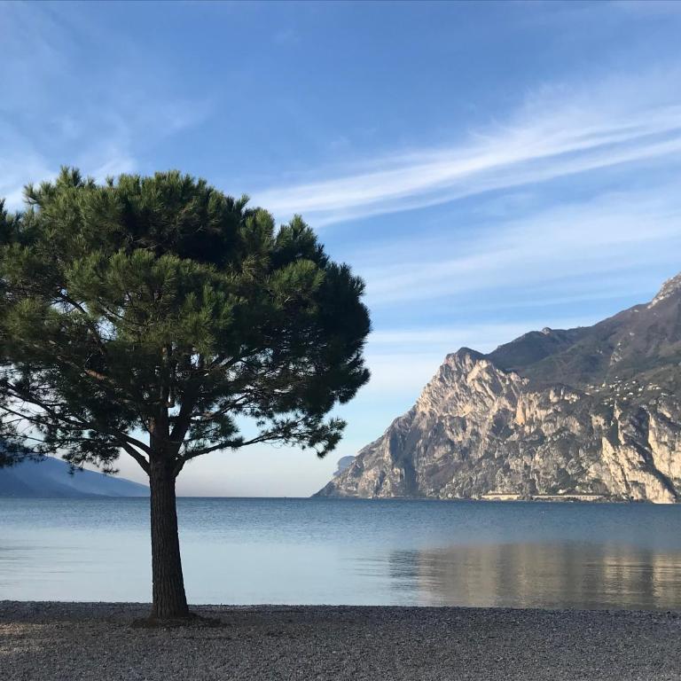 San Rocco Apartments - Appartamento con 1 Camera da Letto - 45