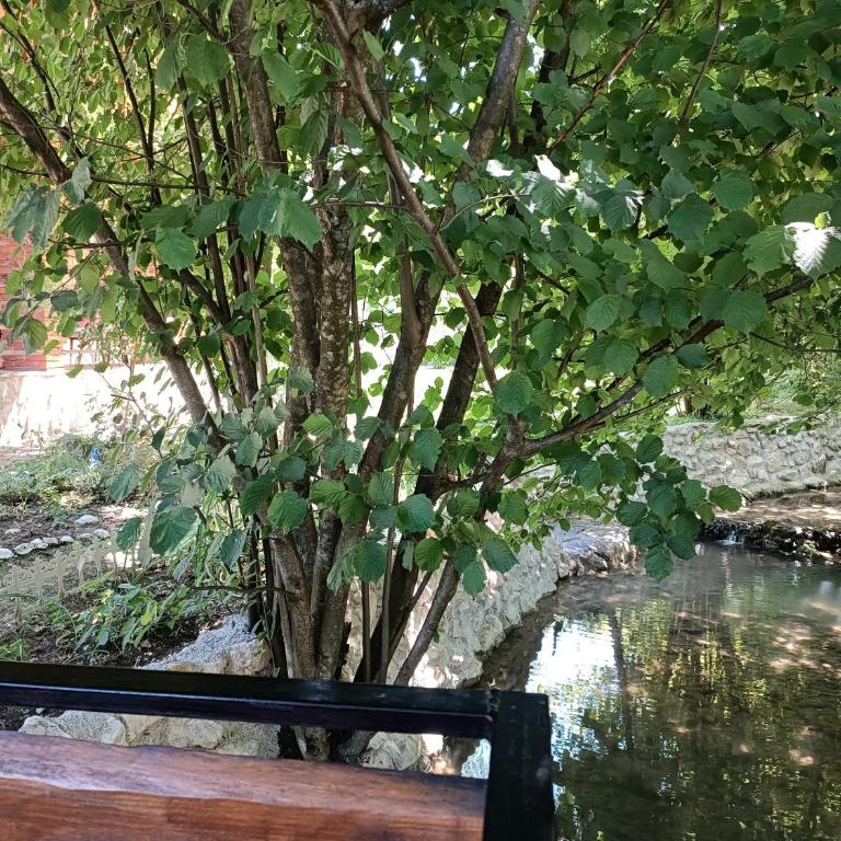 Live Nature - Three-Bedroom Townhouse - 53