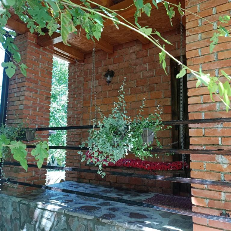 Live Nature - Three-Bedroom Townhouse - 60