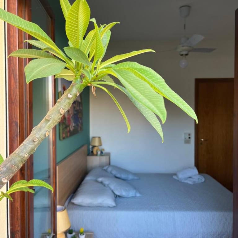 Roseda Casa Vacanze - Appartamento con 1 Camera da Letto - 47