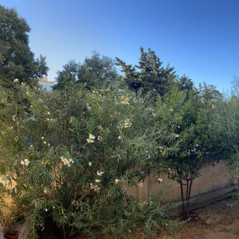 Roseda Casa Vacanze - Appartamento con 1 Camera da Letto - 43