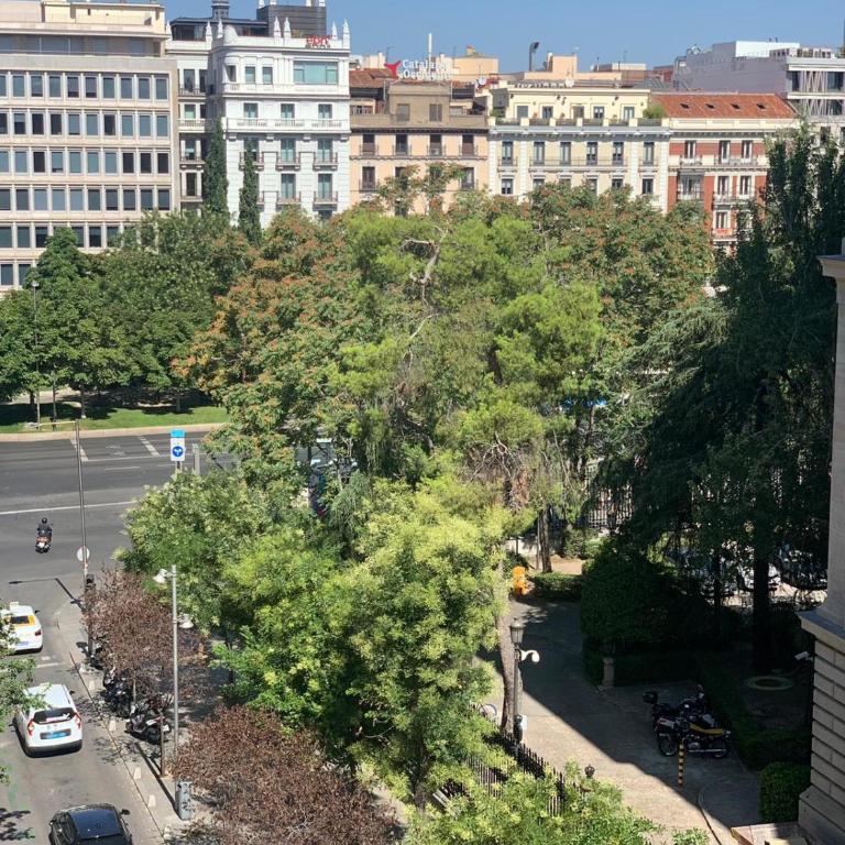 Luxury Studio Retiro Park & Prado Museum - One-Bedroom Apartment - 39