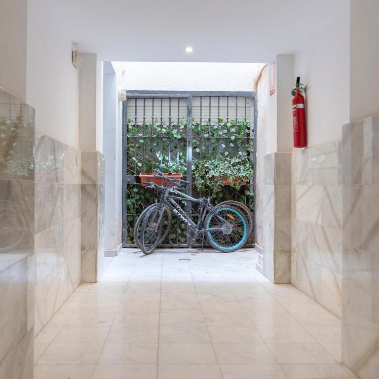 Carretería 80 - Apartamento de 1 dormitorio - 31