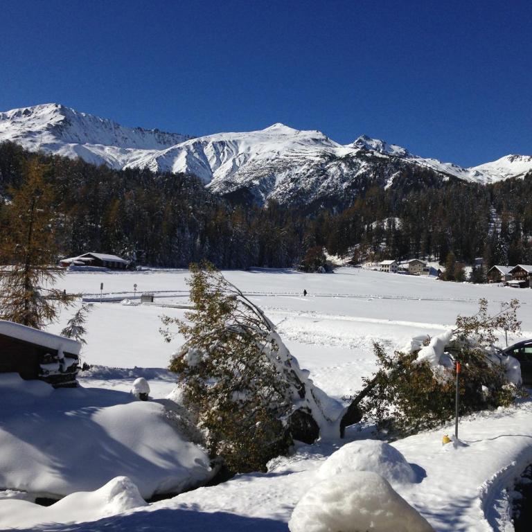 Davos Laret, Ginseng Nr 12 - Apartment mit 2 Schlafzimmern - 15