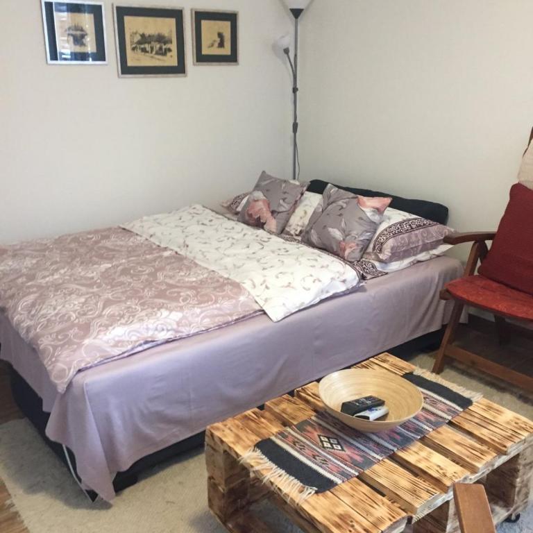 Apartmani Pahulja - Studio - 9