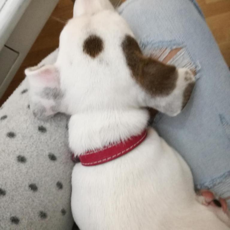 Apartment Tesla Space - Apartman sa 1 Spavaćom Sobom - 28