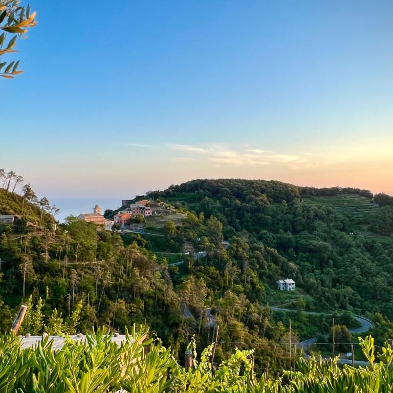 Incanto-Romantic Sea-View Hideaway With-Private Parking&300mq Garden - One-Bedroom Apartment - 8