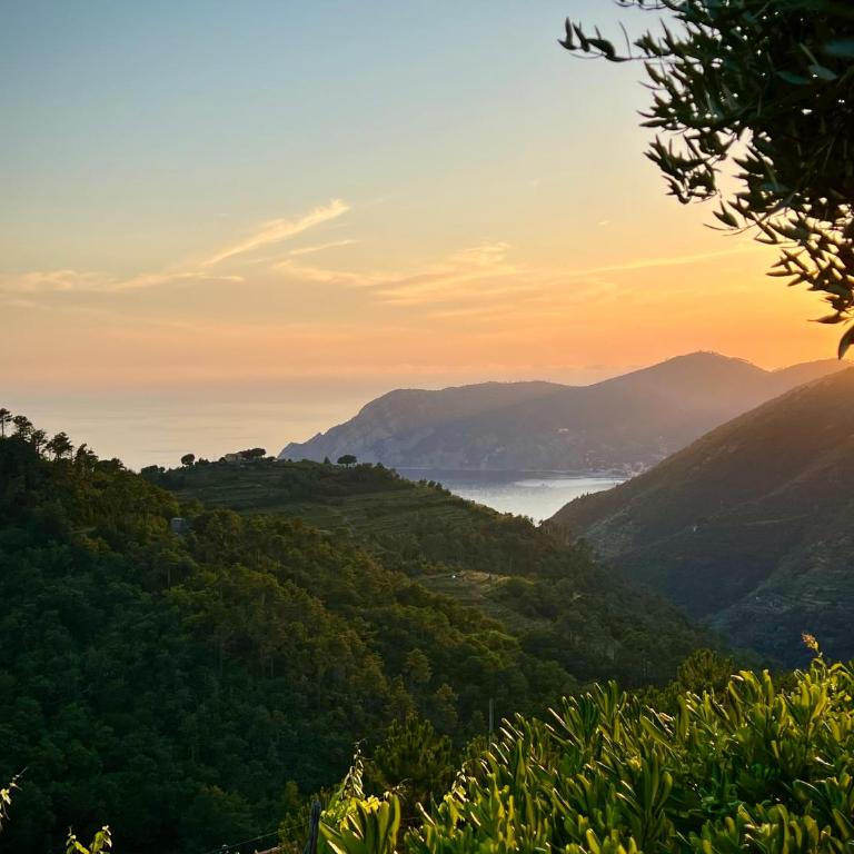 Incanto-Romantic Sea-View Hideaway With-Private Parking&300mq Garden - One-Bedroom Apartment - 9