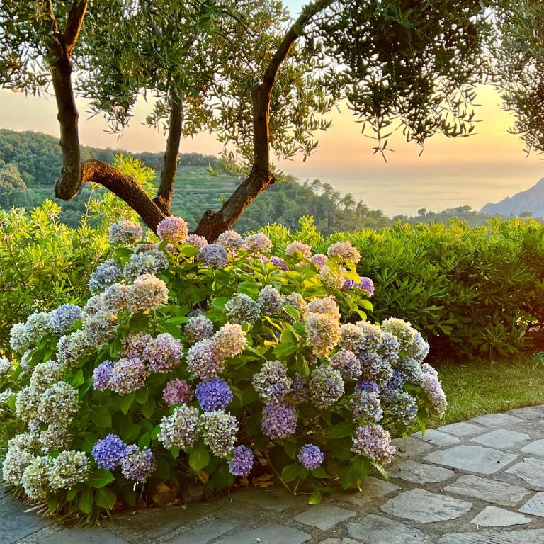 Incanto-Romantic Sea-View Hideaway With-Private Parking&300mq Garden - One-Bedroom Apartment - 1