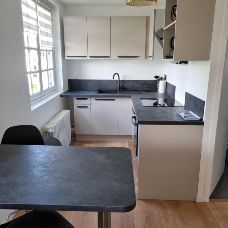 Location saisonnière appartement situé à Saumur - Appartement 1 Chambre - 6