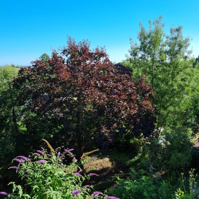 Location saisonnière appartement situé à Saumur - Appartement 1 Chambre - 12