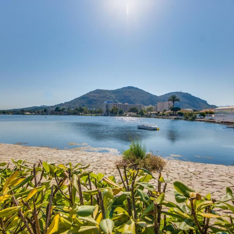 Ideal Property Mallorca - Tarongina - Casa - 6