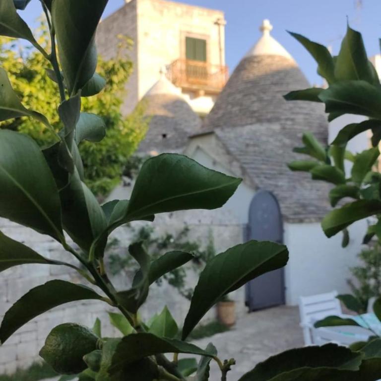 Trullo al vicoletto al civico 10, civico 8, civico 7 - Casa Vacanze - 31