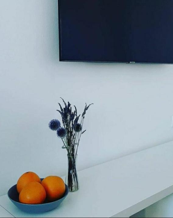 Vrnjci House - Apartman sa Pogledom na Vrt - 2