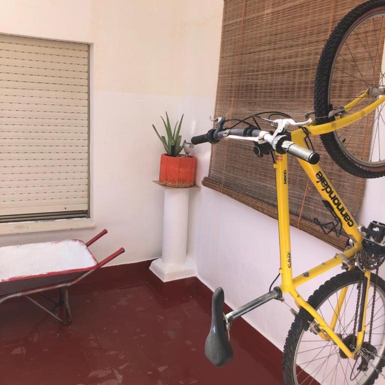 Apart. inmejorable por vivienda y por situación - Apartamento - 33